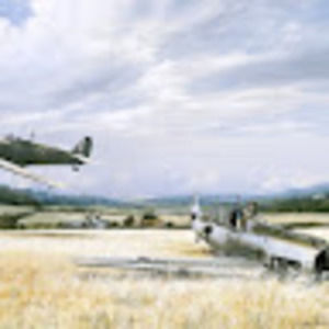 Meet your Posher, Aiden